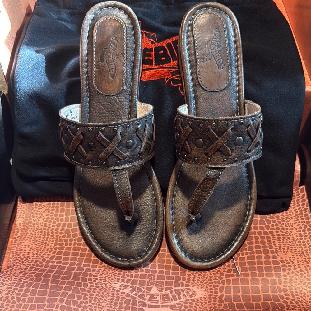 Freebird by Steven Brown Sandals